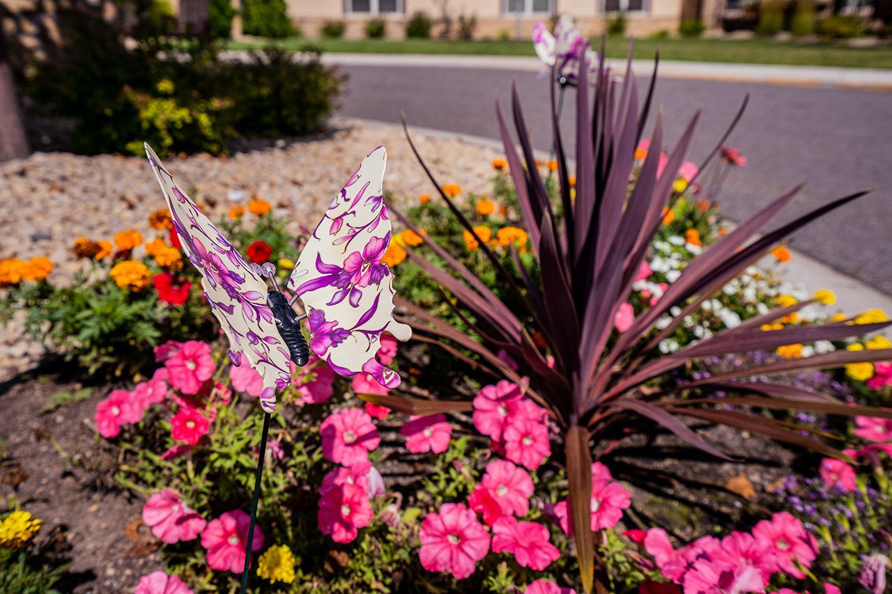 A decorative metal butterfly with purple patterns stands in a garden bed surrounded by pink flowers and a dark-leafed plant.