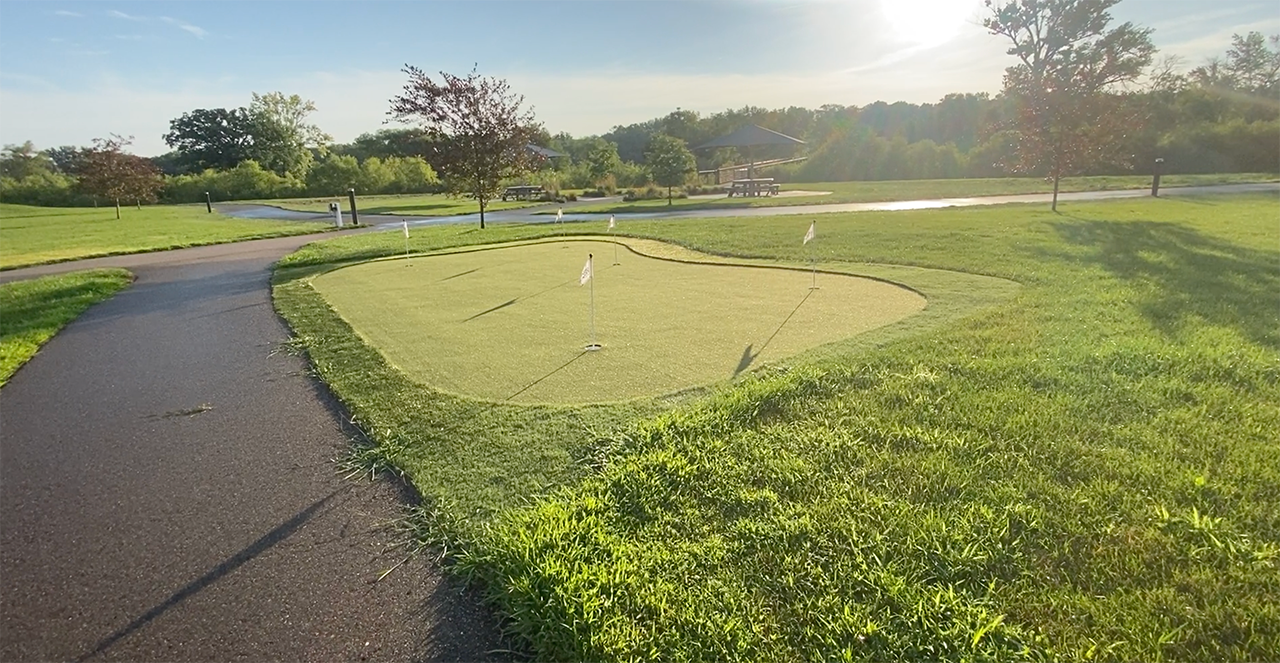 A paved path curves past a rectangular, green-covered pond in a sunny park landscape with trees and grass.