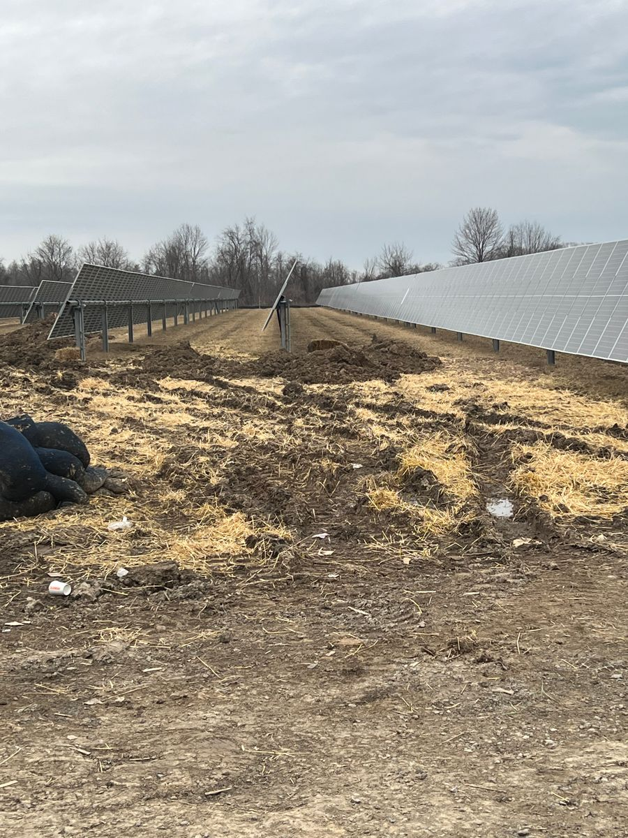 Solar panels in a field on a cloudy day; muddy ground and dry grass.