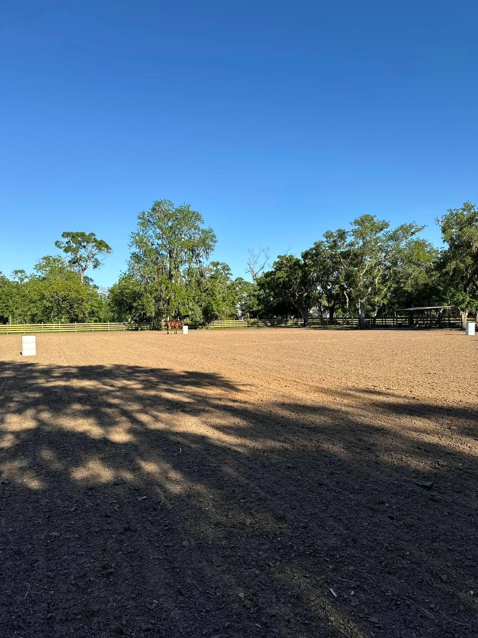 Open, sandy area with scattered trees under a clear blue sky.