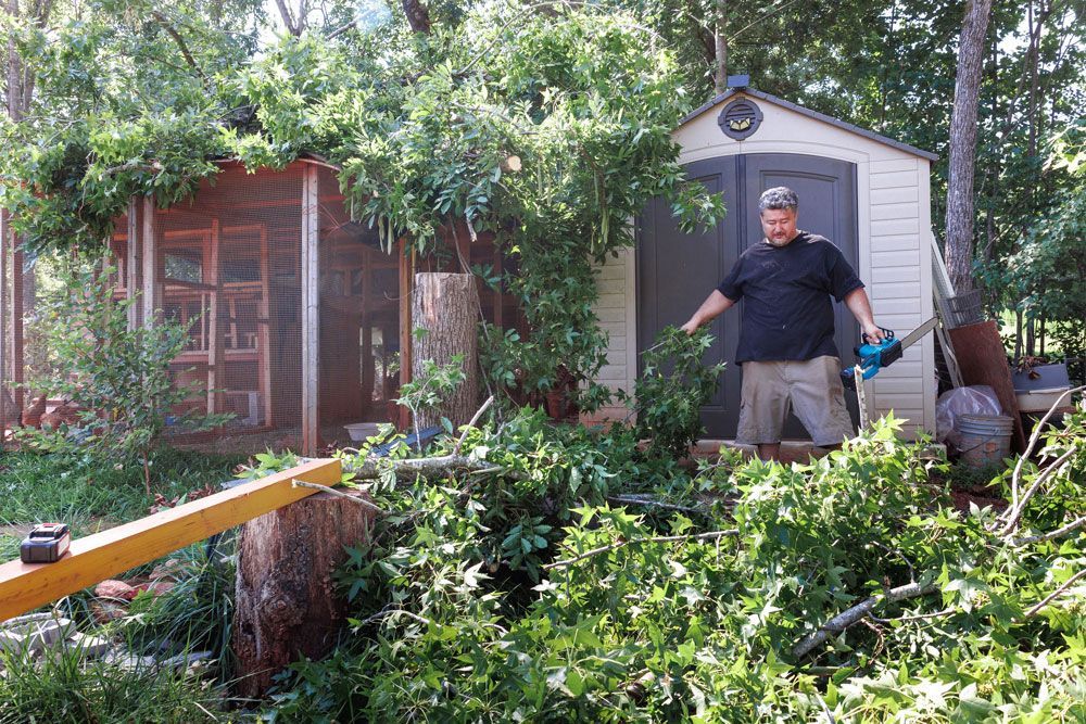 Man standing in a leafy garden beside a small shed, with fallen branches and a wooden ramp in the foreground