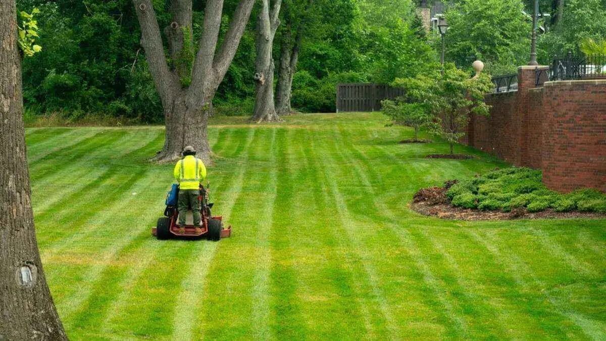Green tractor mowing a large field beside a house on a sunny day