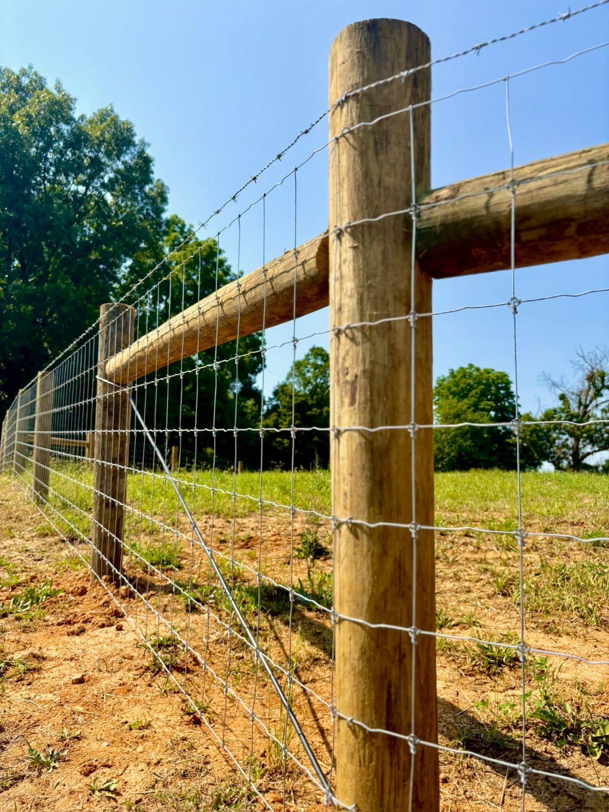 Wooden fence posts and wire fencing along a sunlit grassy field with trees in the background