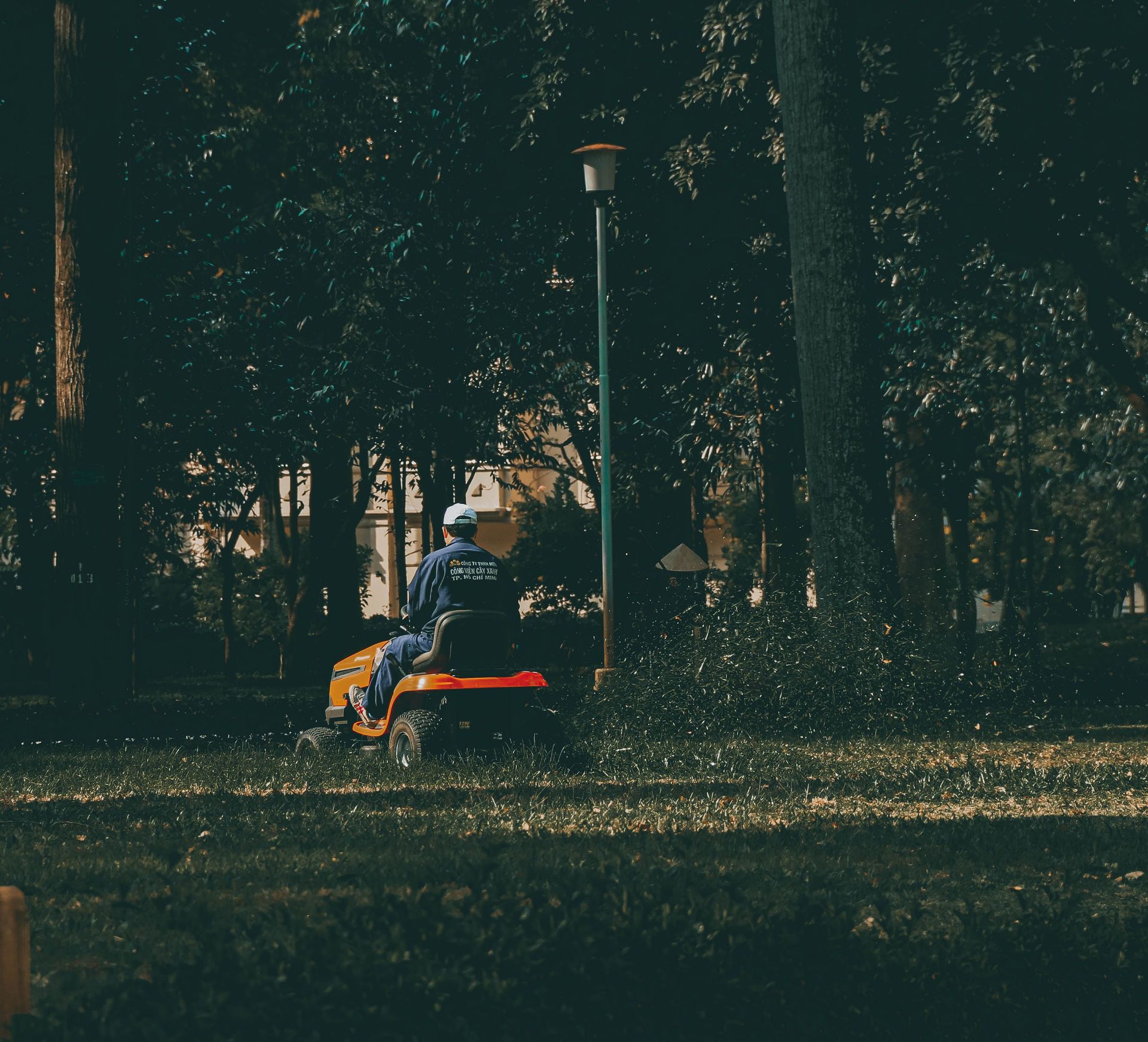 Person sitting on a red bench in a dark, tree-filled park at dusk