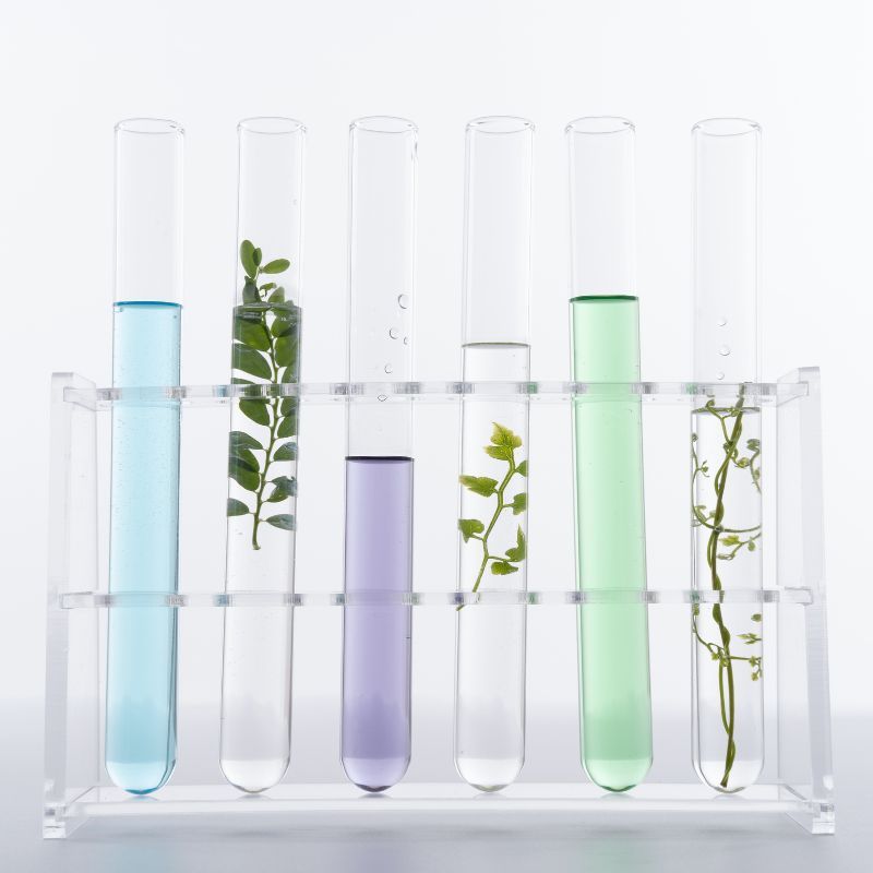 Six test tubes in a rack, containing liquids and plants; varying colors, white background.