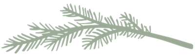 Stylized green evergreen branch.
