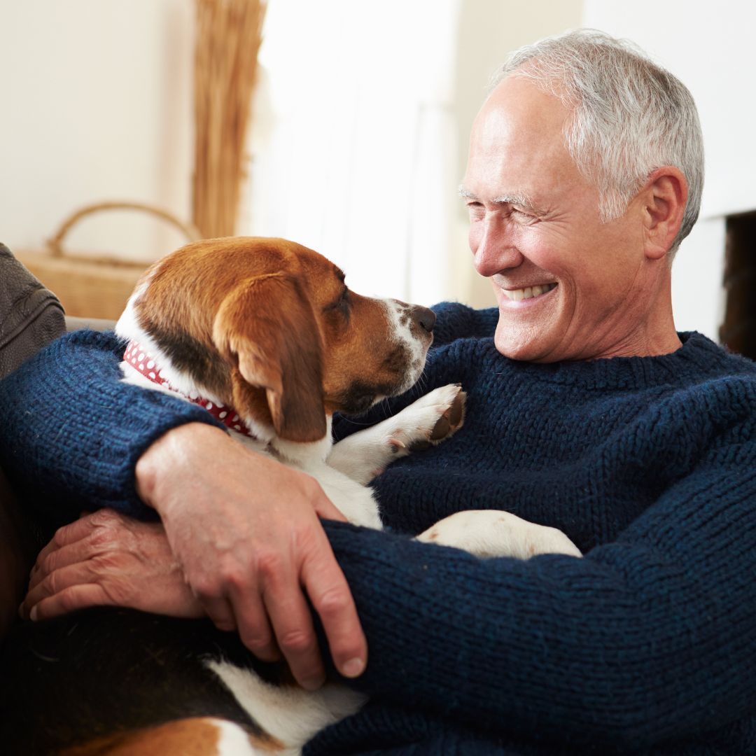 Man in blue sweater smiles while hugging a beagle dog indoors.