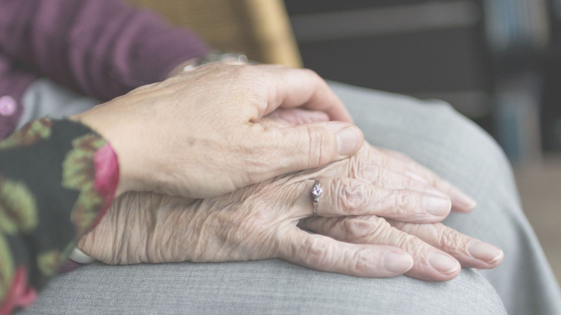 Hands of an older person held gently by another's hand, possibly offering comfort.