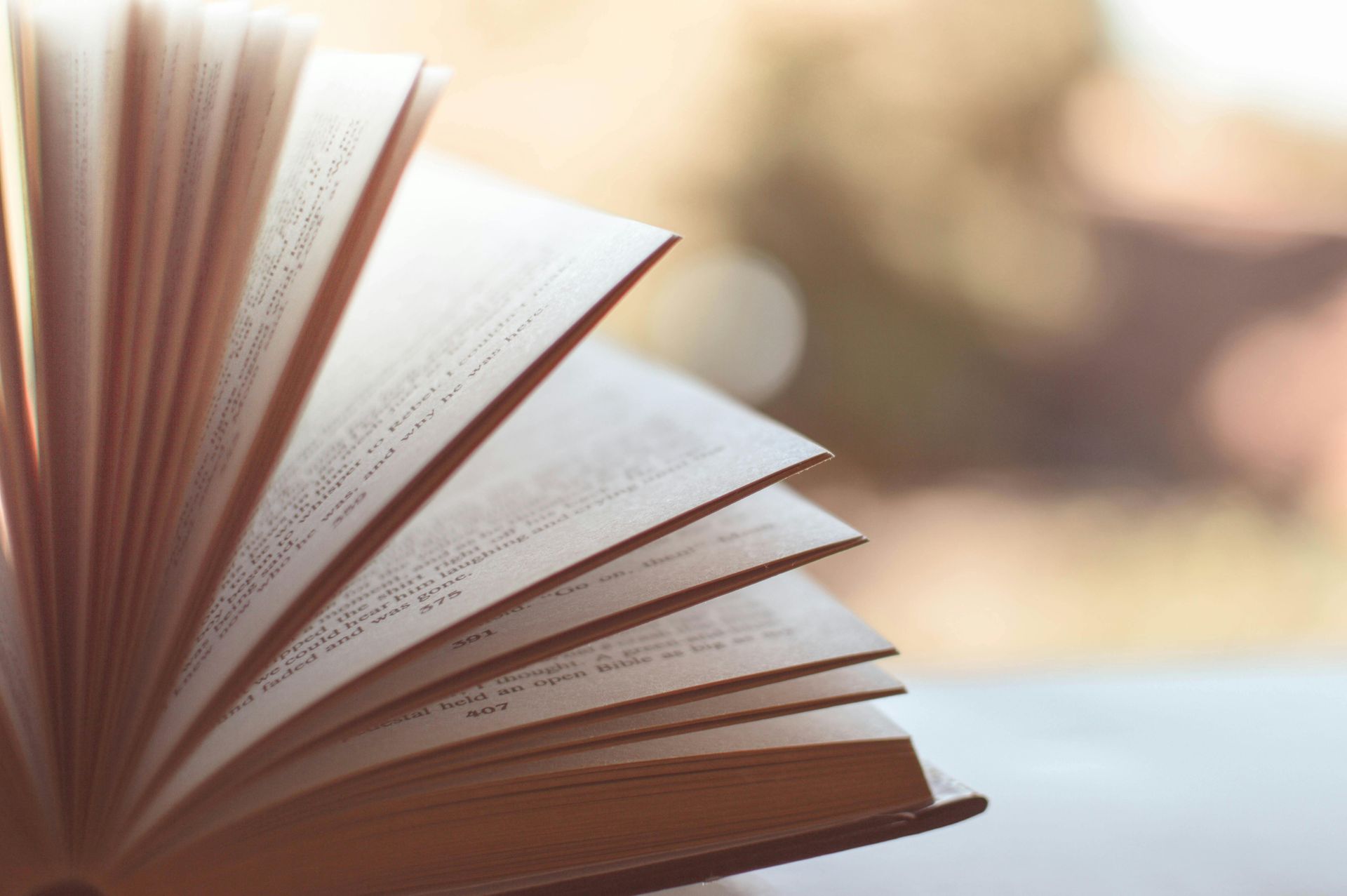 Open book with fanned pages, illuminated by sunlight.
