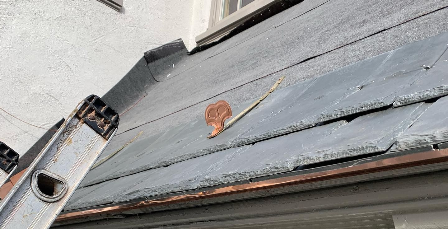 A ladder is sitting on top of a roof next to a window.