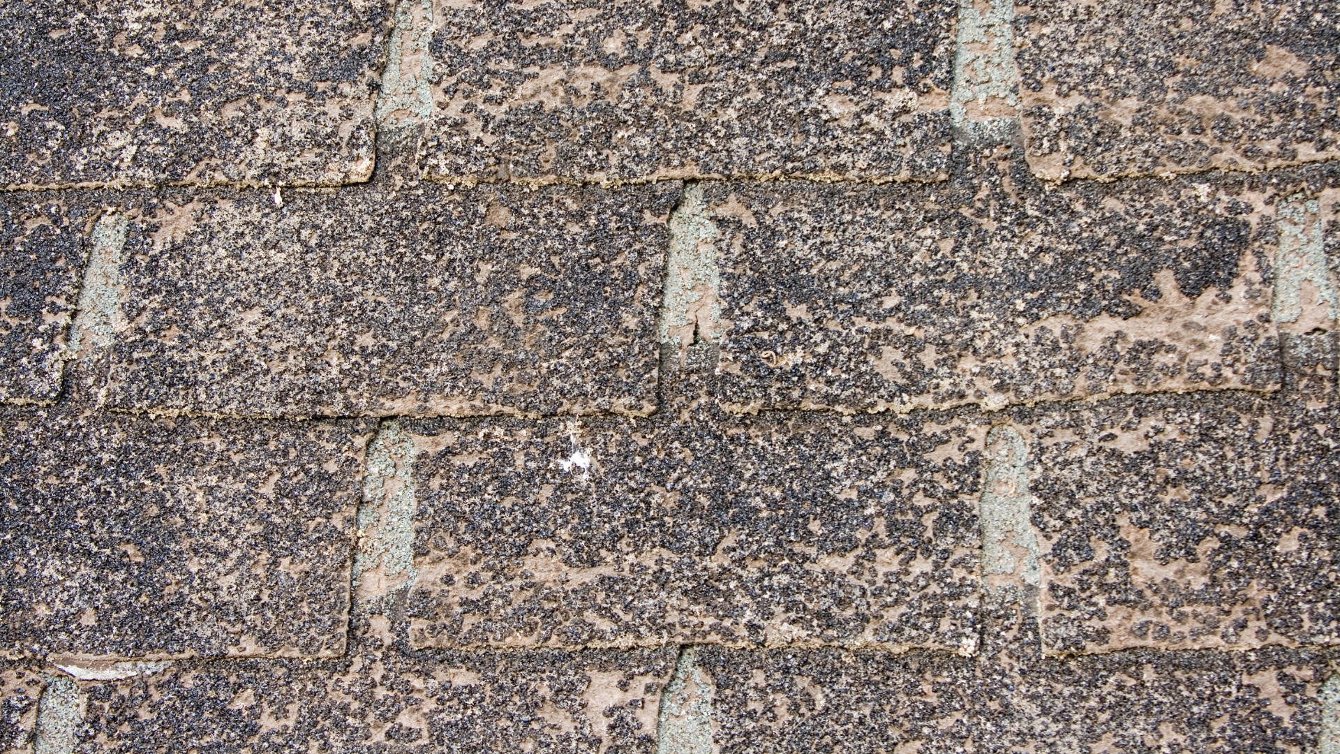 Close-up of a weathered asphalt roof