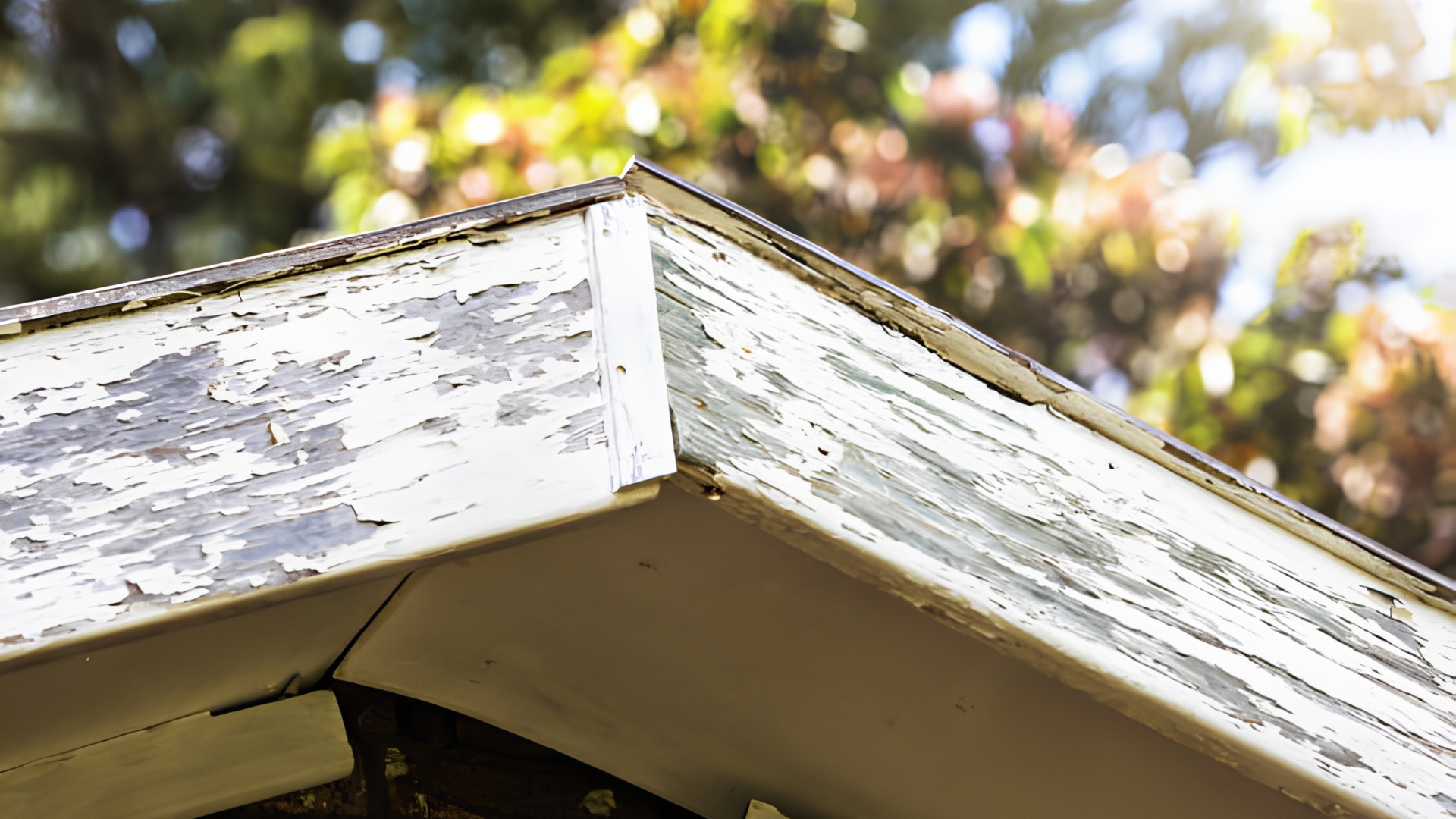 Close-up of a weathered white wooden roof edge with peeling paint and sunlight filtering through trees.