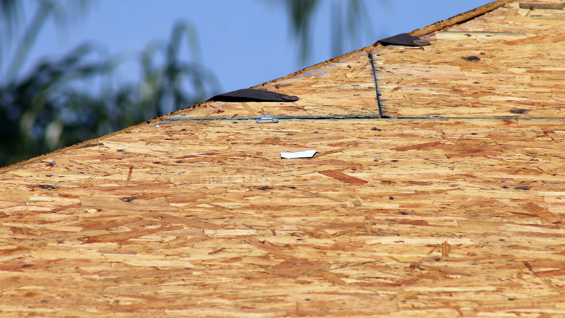Roof deck under construction with blue sky and palm tree in the background