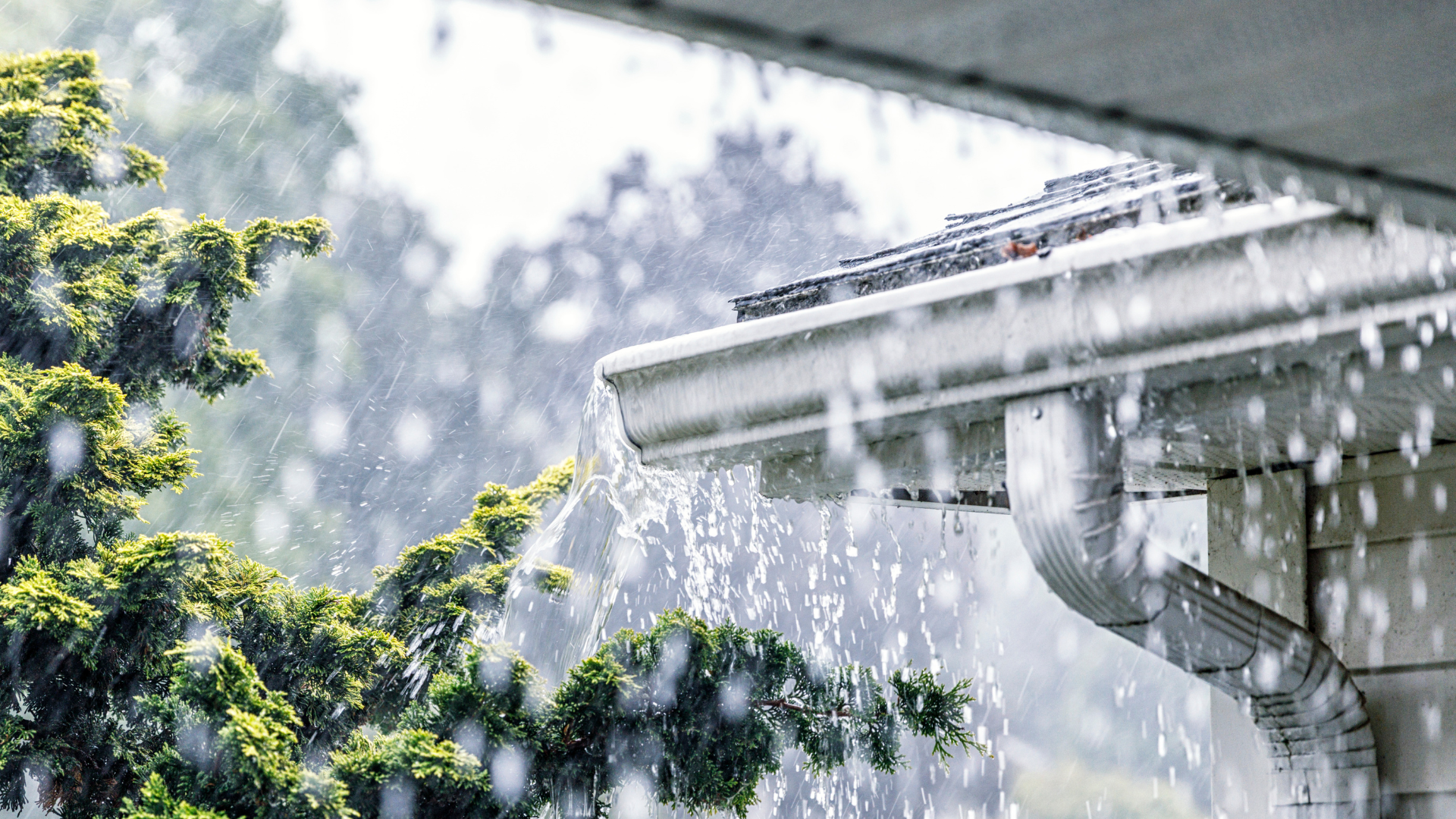 Rain falling on a house roof beside green tree branches.