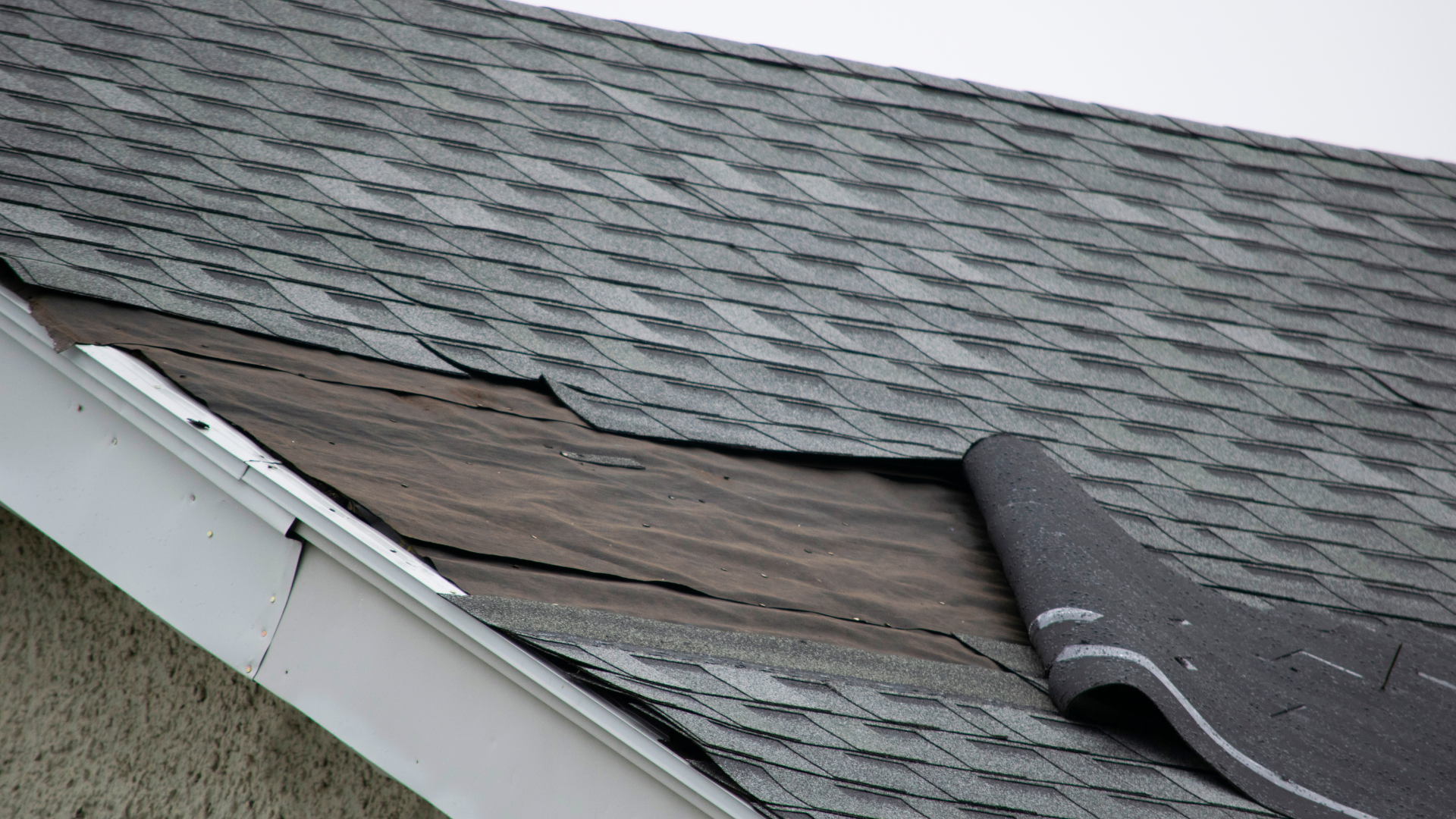 Damaged roof with peeled-back shingles exposing underlayment near the gutter