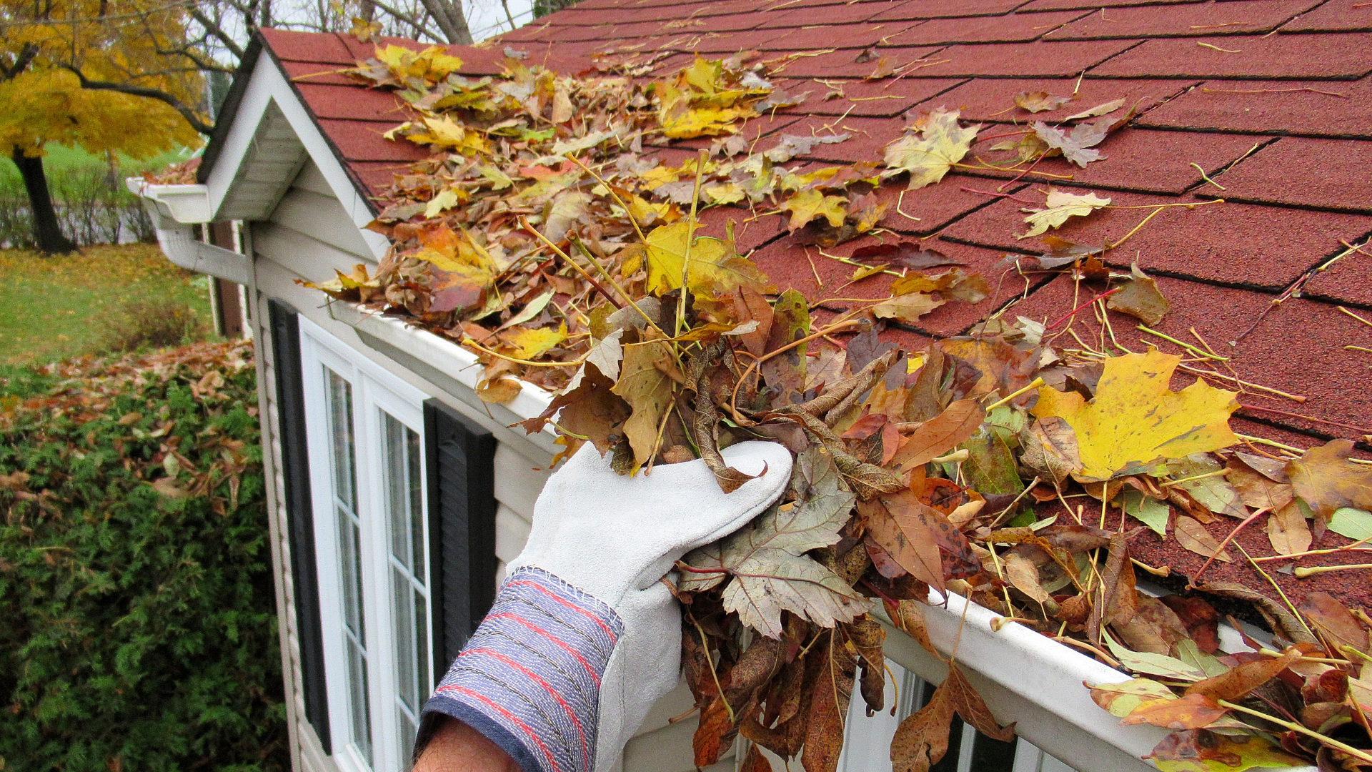 Gloved hand clearing autumn leaves from a small shed roof