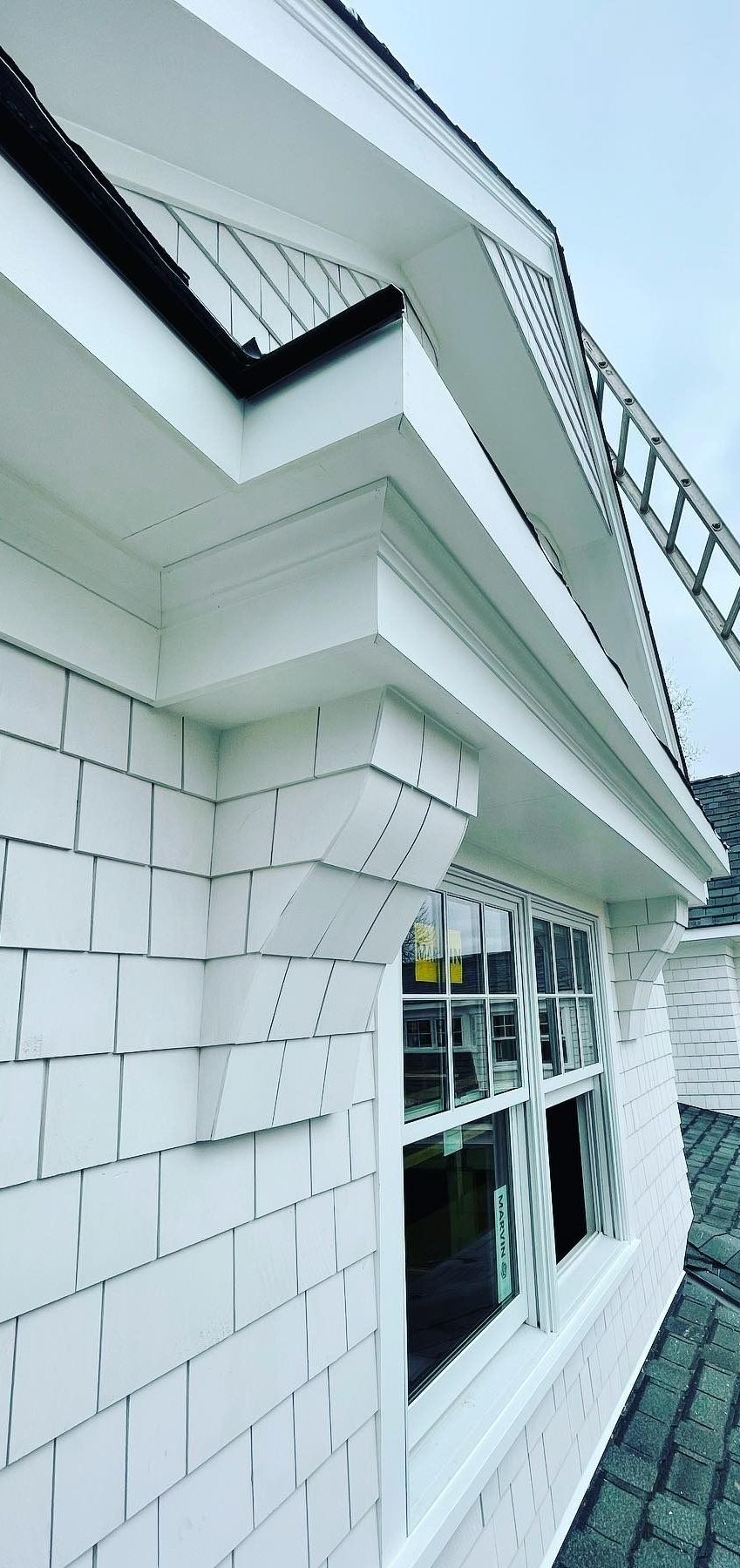 White-sided house with a window, white trim, and a ladder leaning against the roof.
