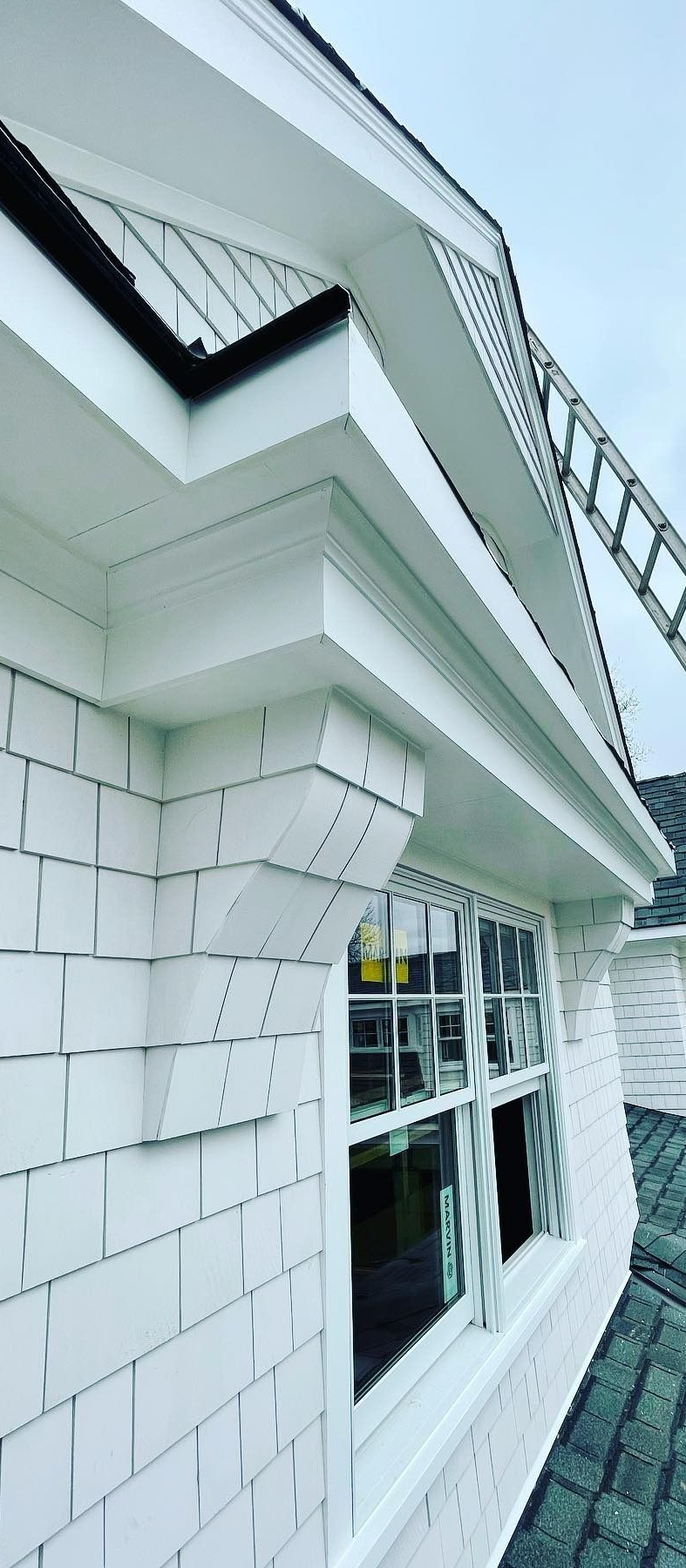 White-sided house with a window, white trim, and a ladder leaning against the roof.