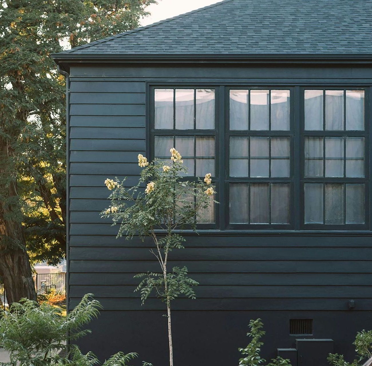 A black house with a tree in front of it