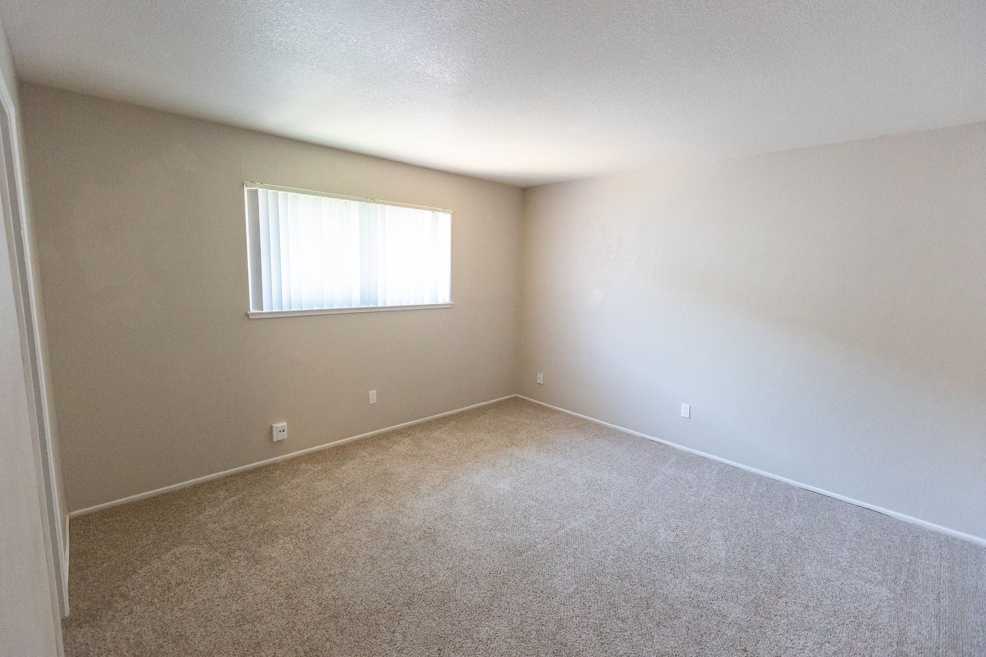Empty beige carpeted room with white walls and a small window with blinds