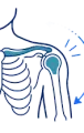 Shoulder joint anatomy with curved arrow indicating arm rotation or mobility exercise