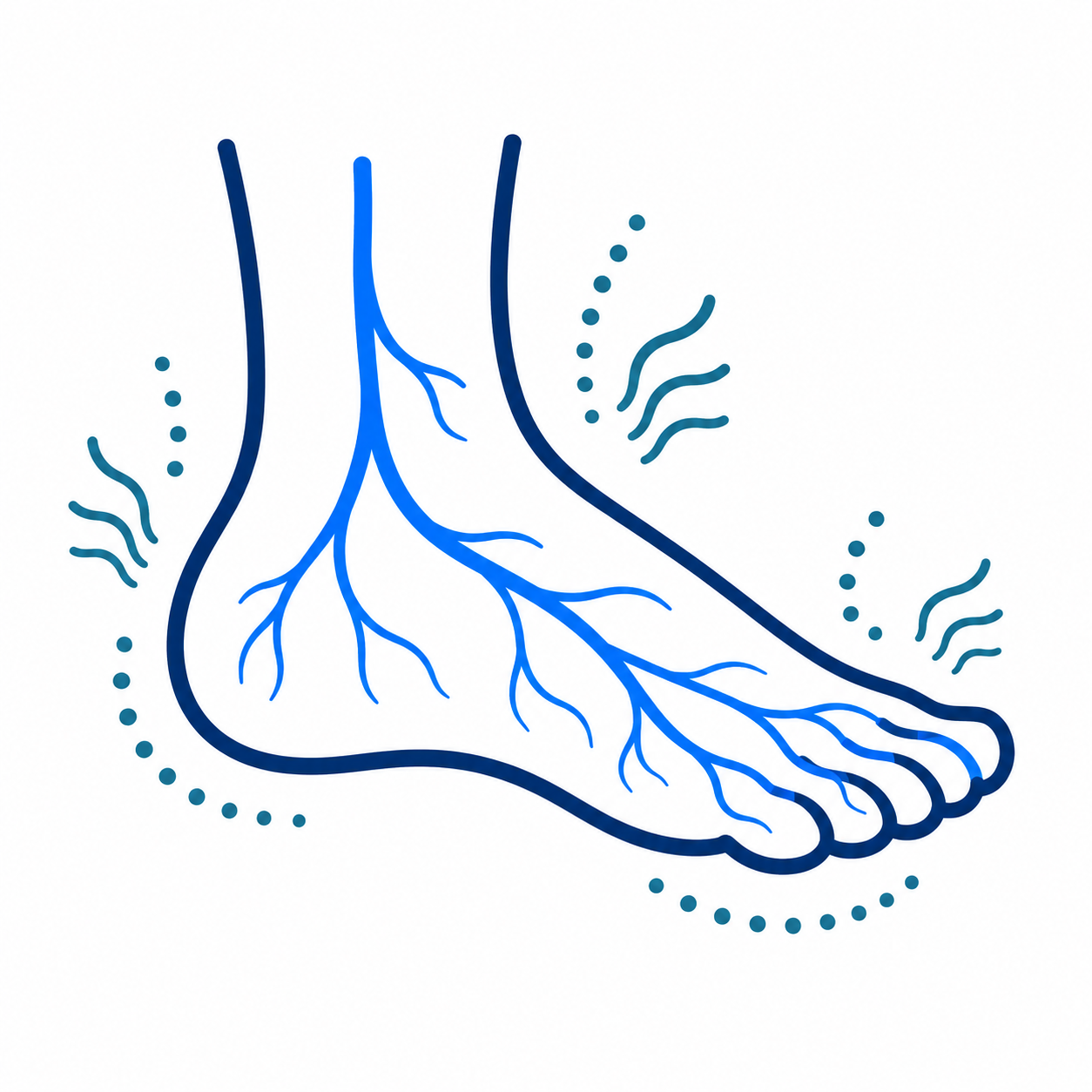 Blue line-art illustration of a foot with veins, suggesting circulation or vascular health