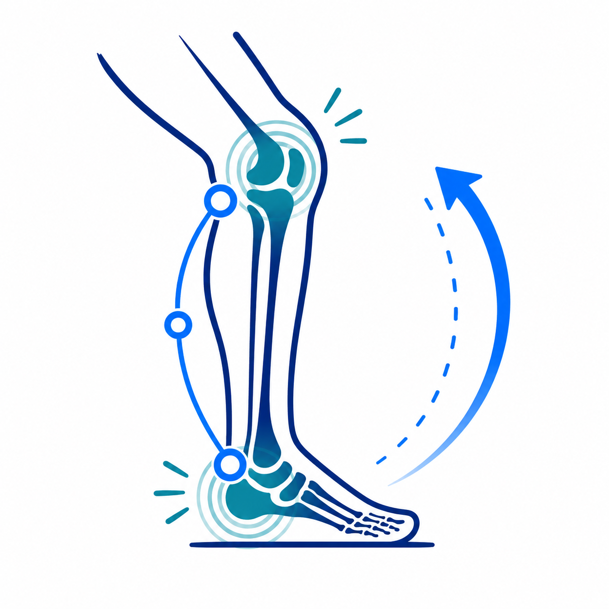 Illustration of a leg and knee with a curved arrow showing joint movement and pain points