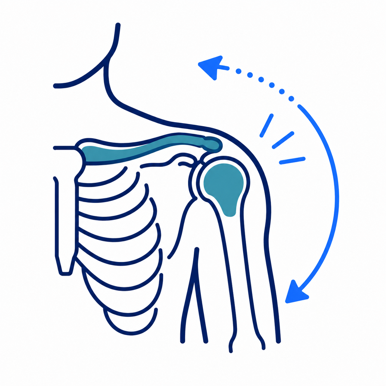 Shoulder joint illustration with blue arrows indicating arm rotation and movement.