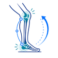 Illustration of a bent leg with blue joint markers and curved arrows showing knee movement and flexibility