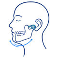 Profile head with jaw joint highlighted and arrows showing jaw movement and rotation.