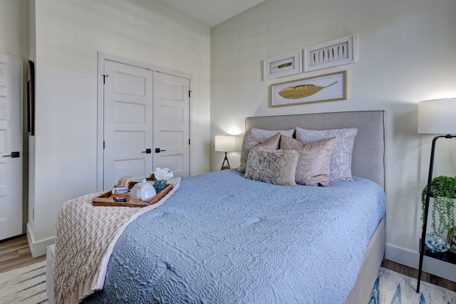 A bedroom with a bed and a tray on it.