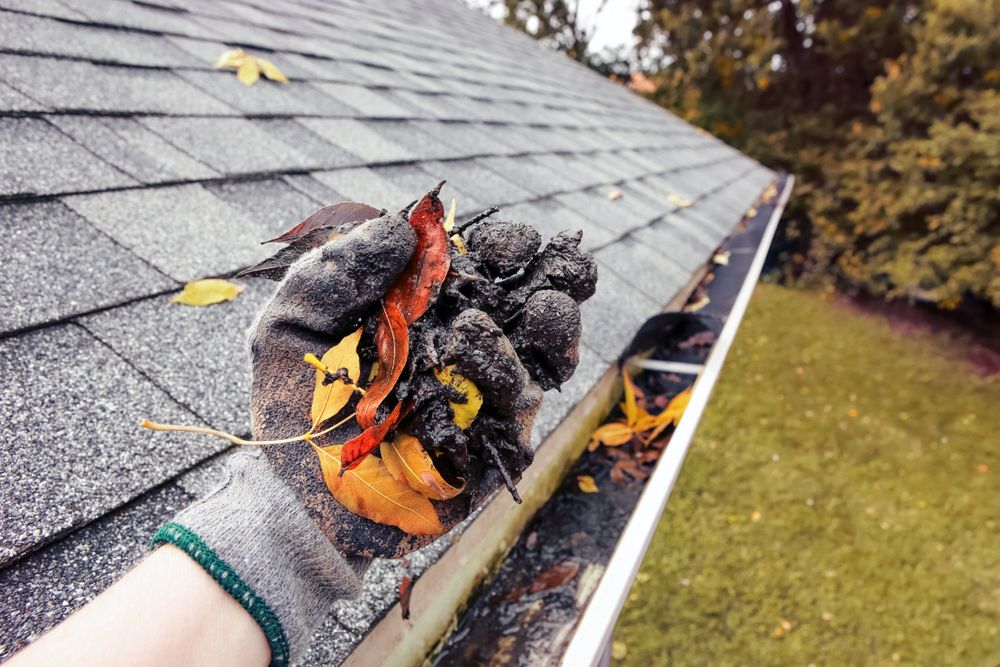 A Person is Holding Leaves in a Gutter on a Roof — Absolute Plumbing Australia in Howard Spring, NT