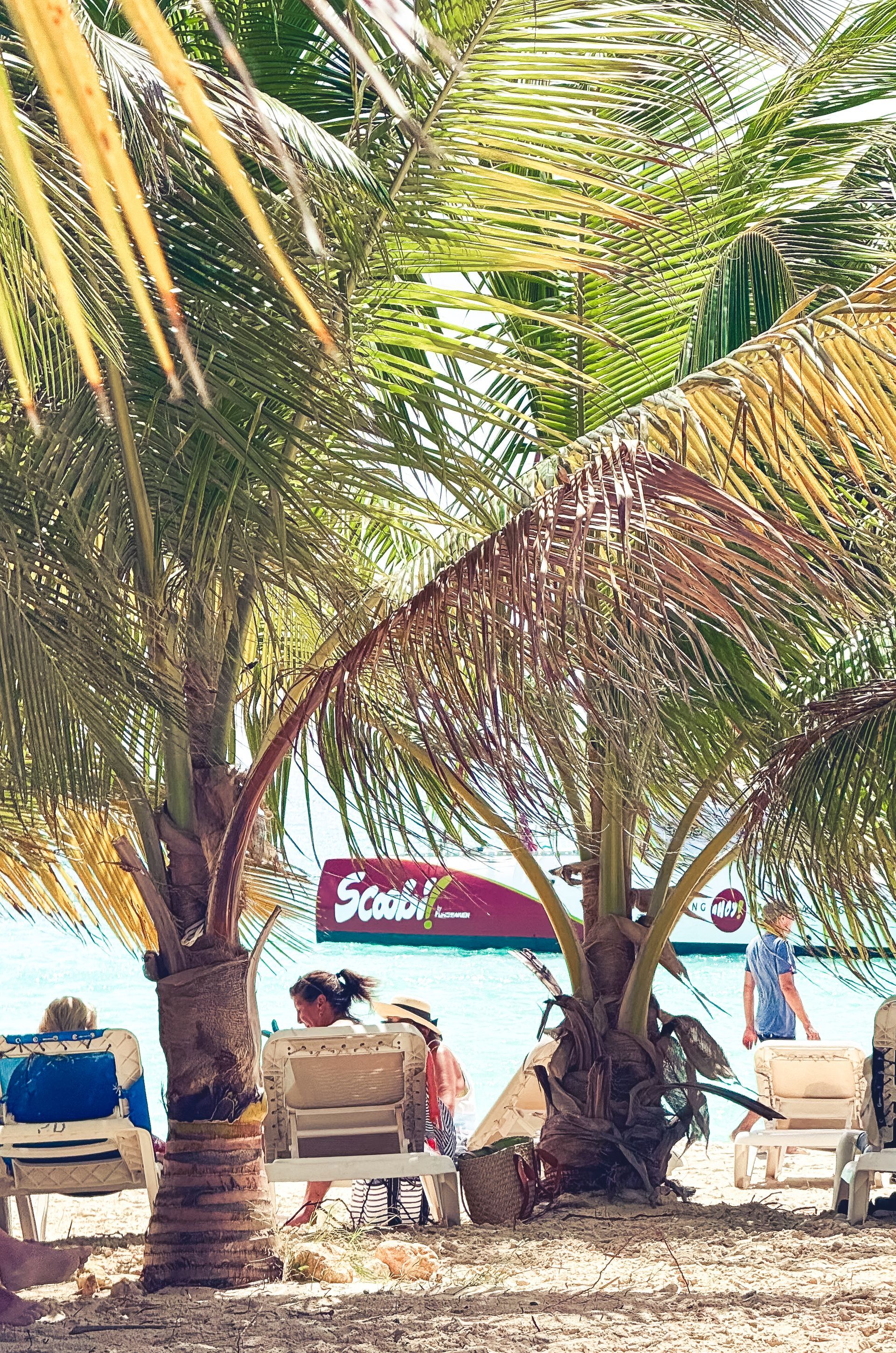 Palm trees on a beach with people in chairs; a sign in the background.