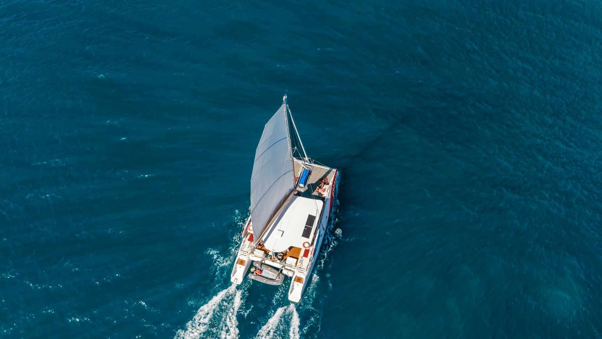 Catamaran sailing on blue water.