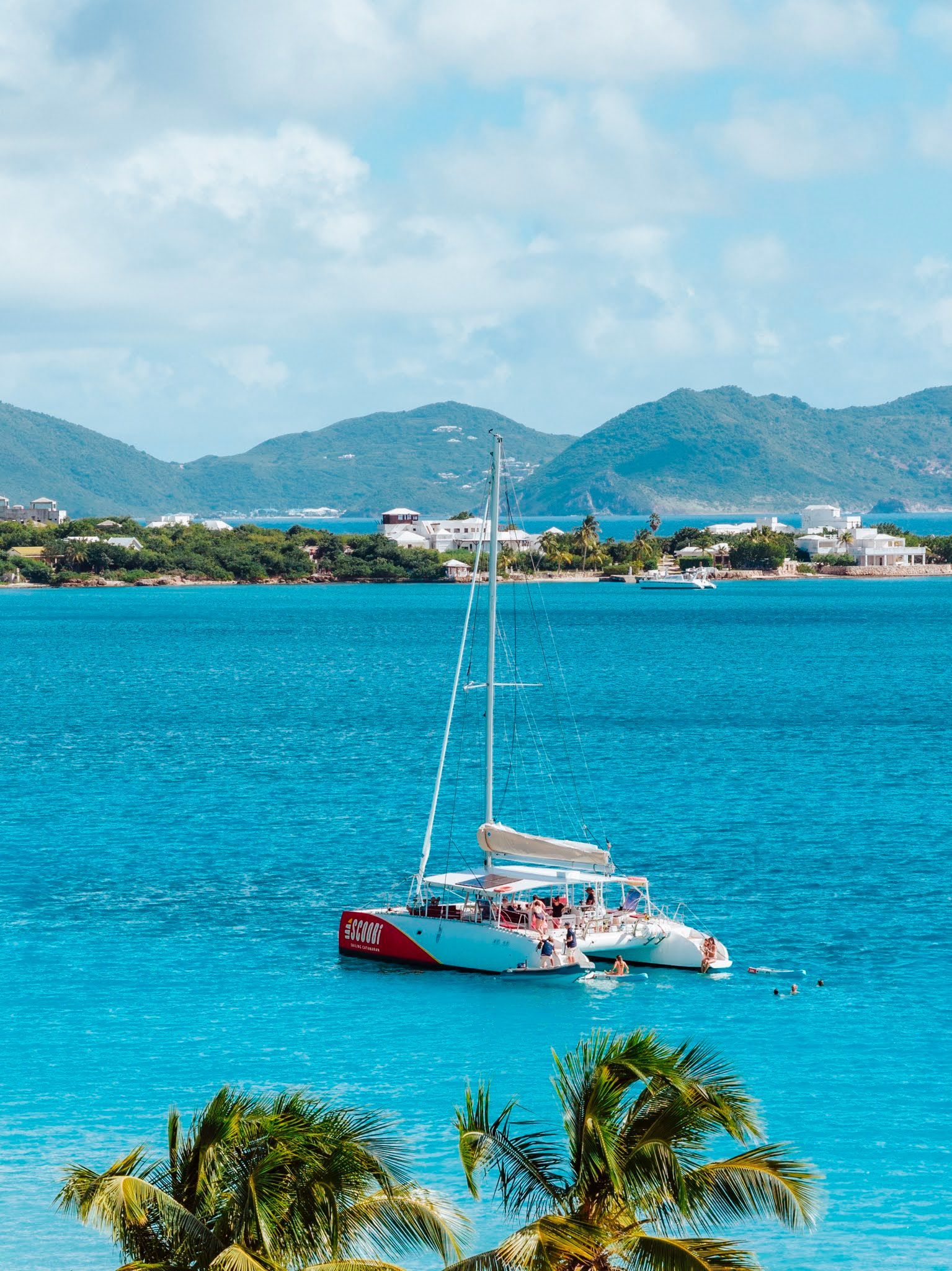 Catamaran sur une eau turquoise près d'une côte bordée de collines verdoyantes et de palmiers sous un ciel bleu.