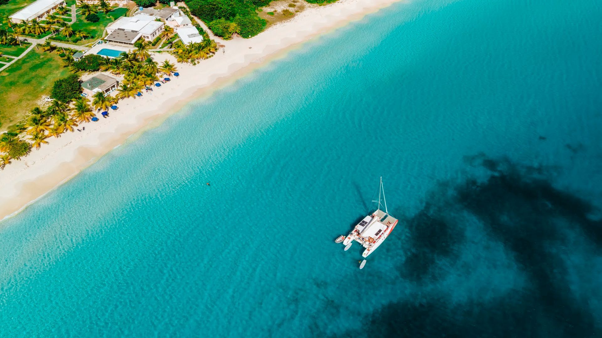 Catamaran sails on turquoise water near a white sand beach and green vegetation.