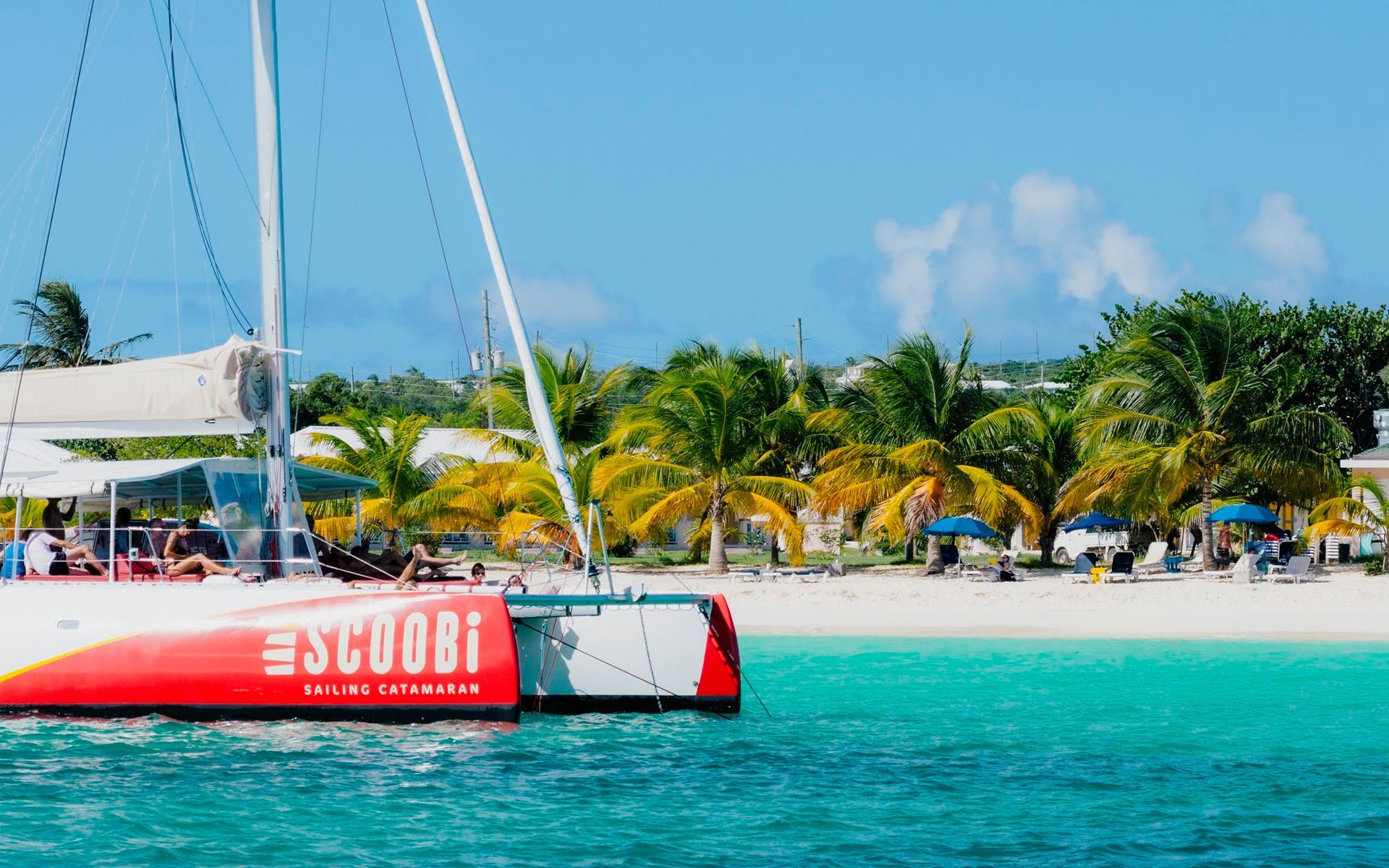 Catamaran "Scoobi" near a white sandy beach with palm trees and turquoise water.