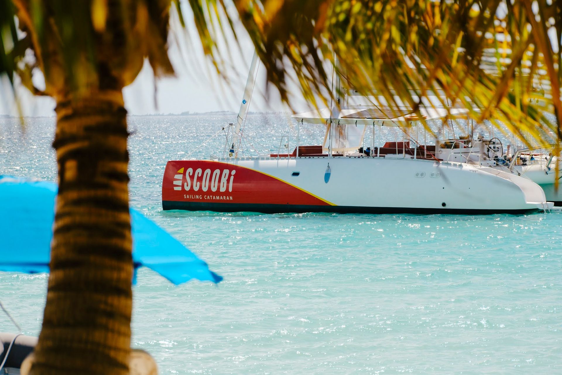 Catamaran à coque rouge, bordé de palmiers, naviguant sur une eau turquoise.