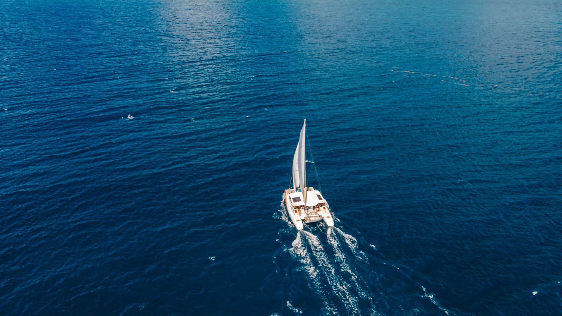 Catamaran sailing on dark blue water, white sails catching the wind.