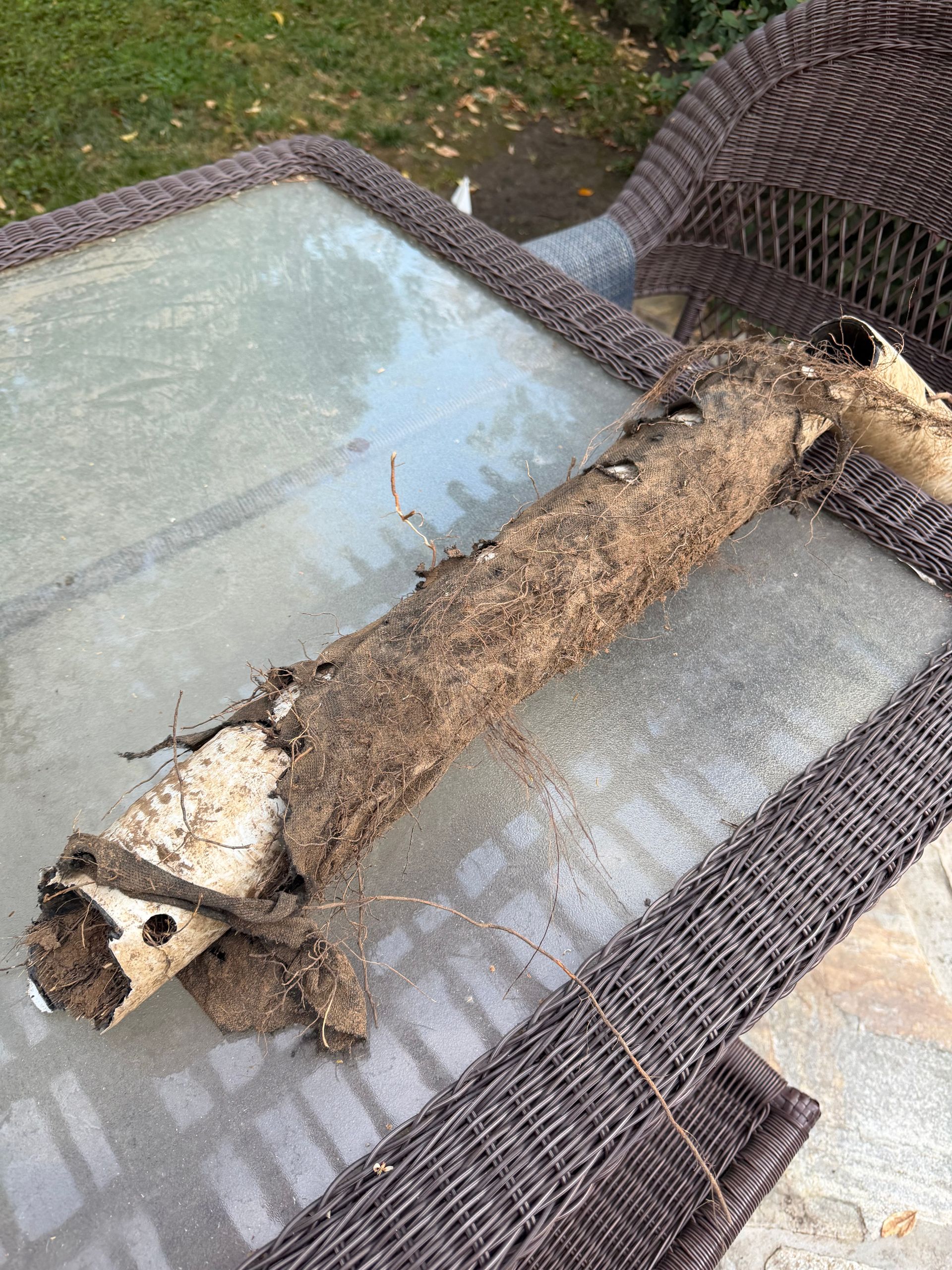A decayed wooden object on a wicker patio table outdoors.