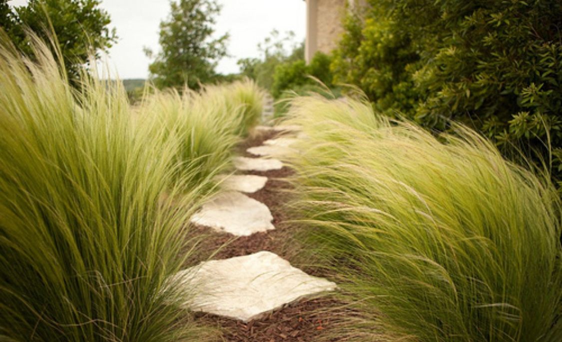 Stone stepping path through tall ornamental grasses in a garden
