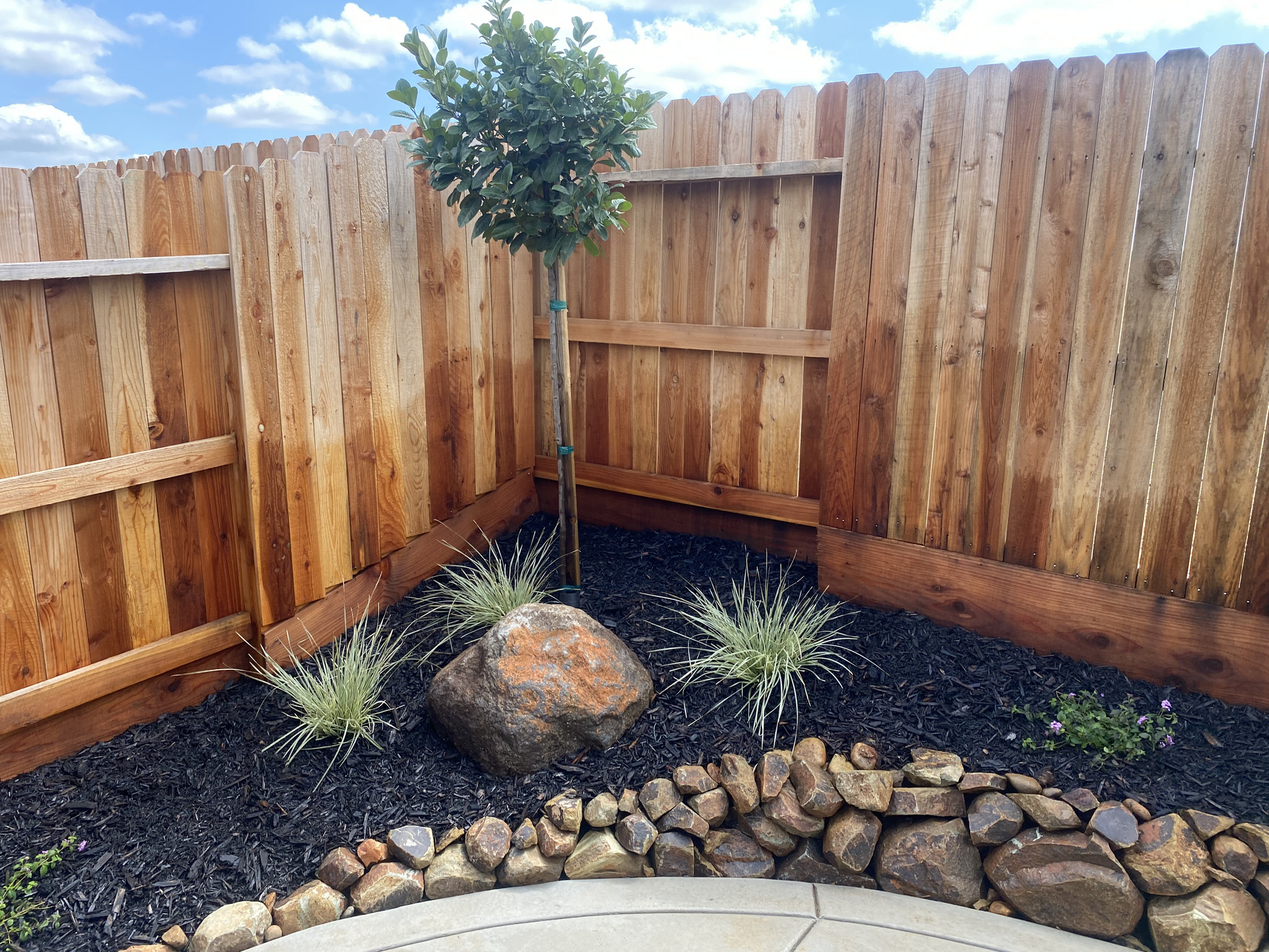 Small landscaped backyard corner with a young tree, rocks, and dark mulch beside a wooden fence.