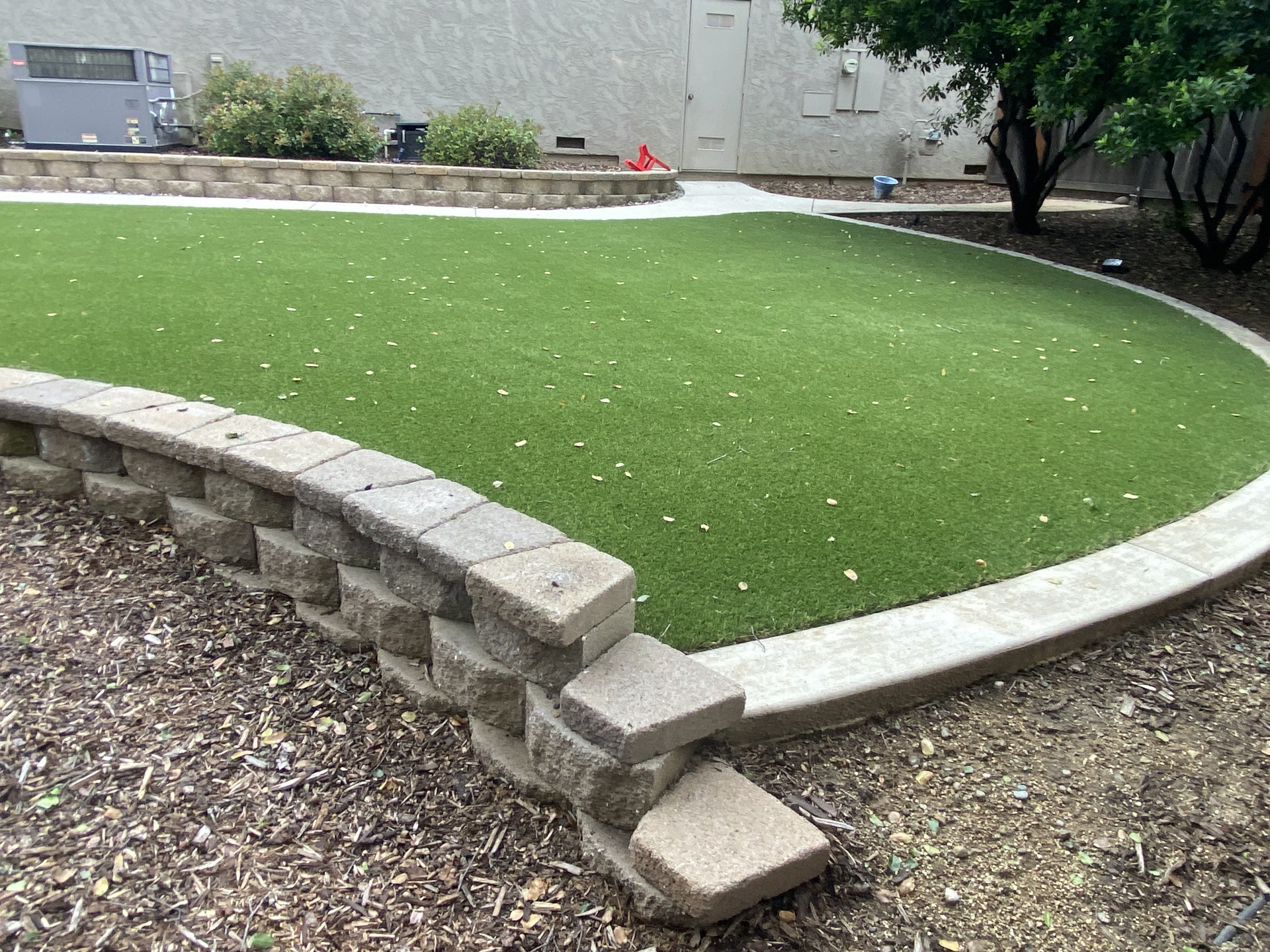 Curved artificial turf lawn with stone retaining wall and steps in a landscaped courtyard