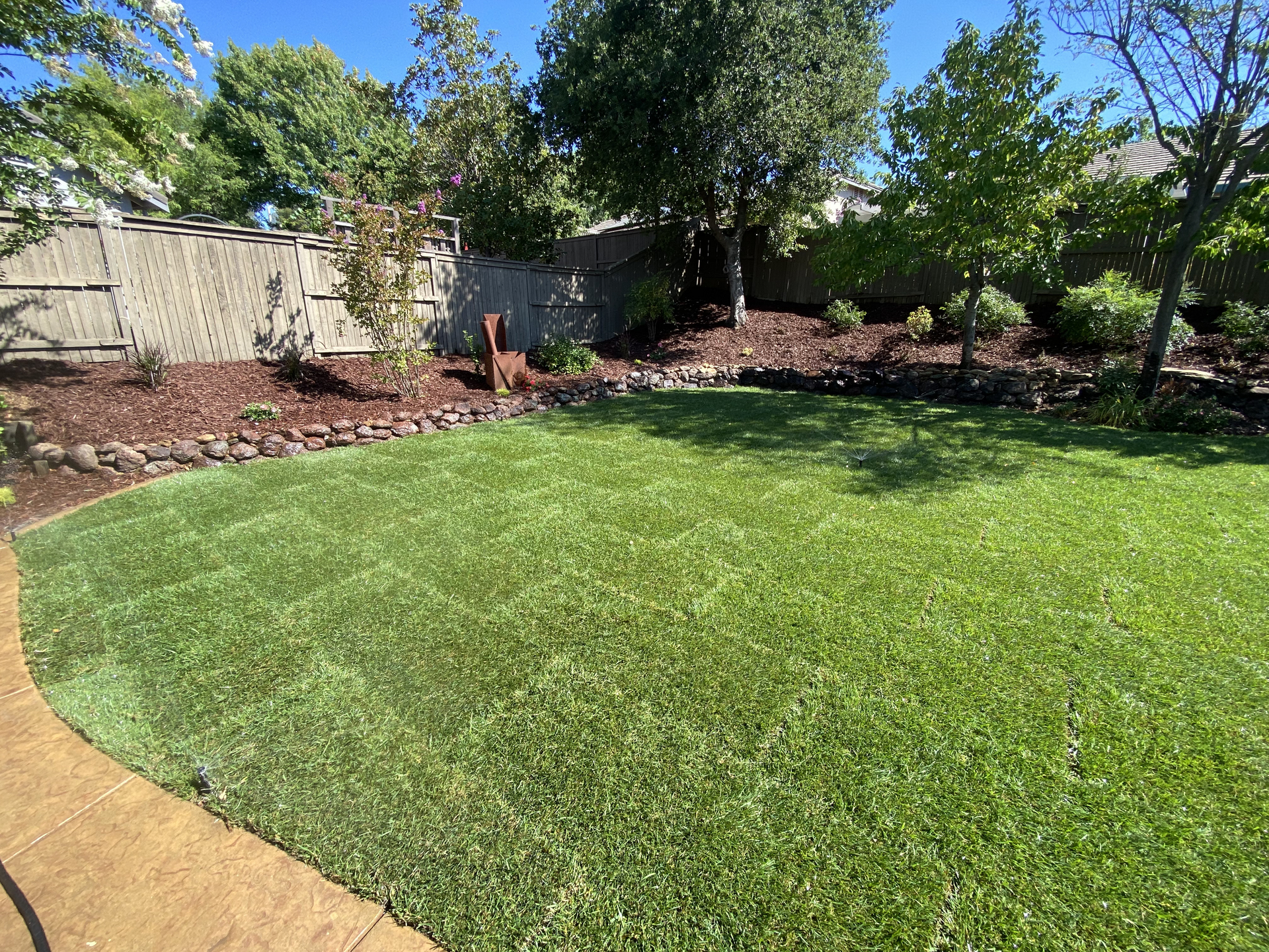 Sunny backyard with a green lawn, curved tan patio edge, trees, shrubs, and a fence.