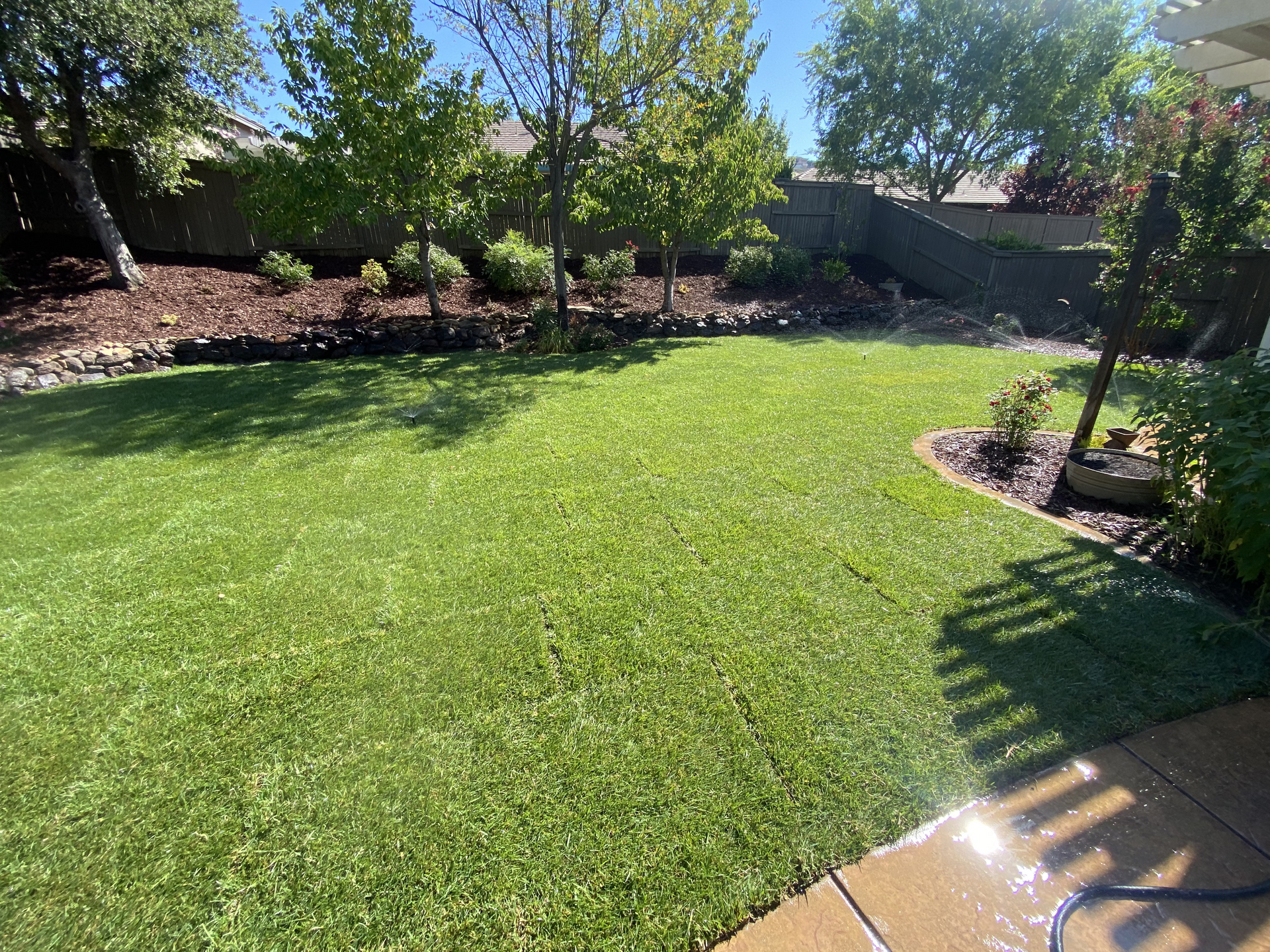 Sunny backyard lawn with trees, landscaped beds, and a wooden deck edge