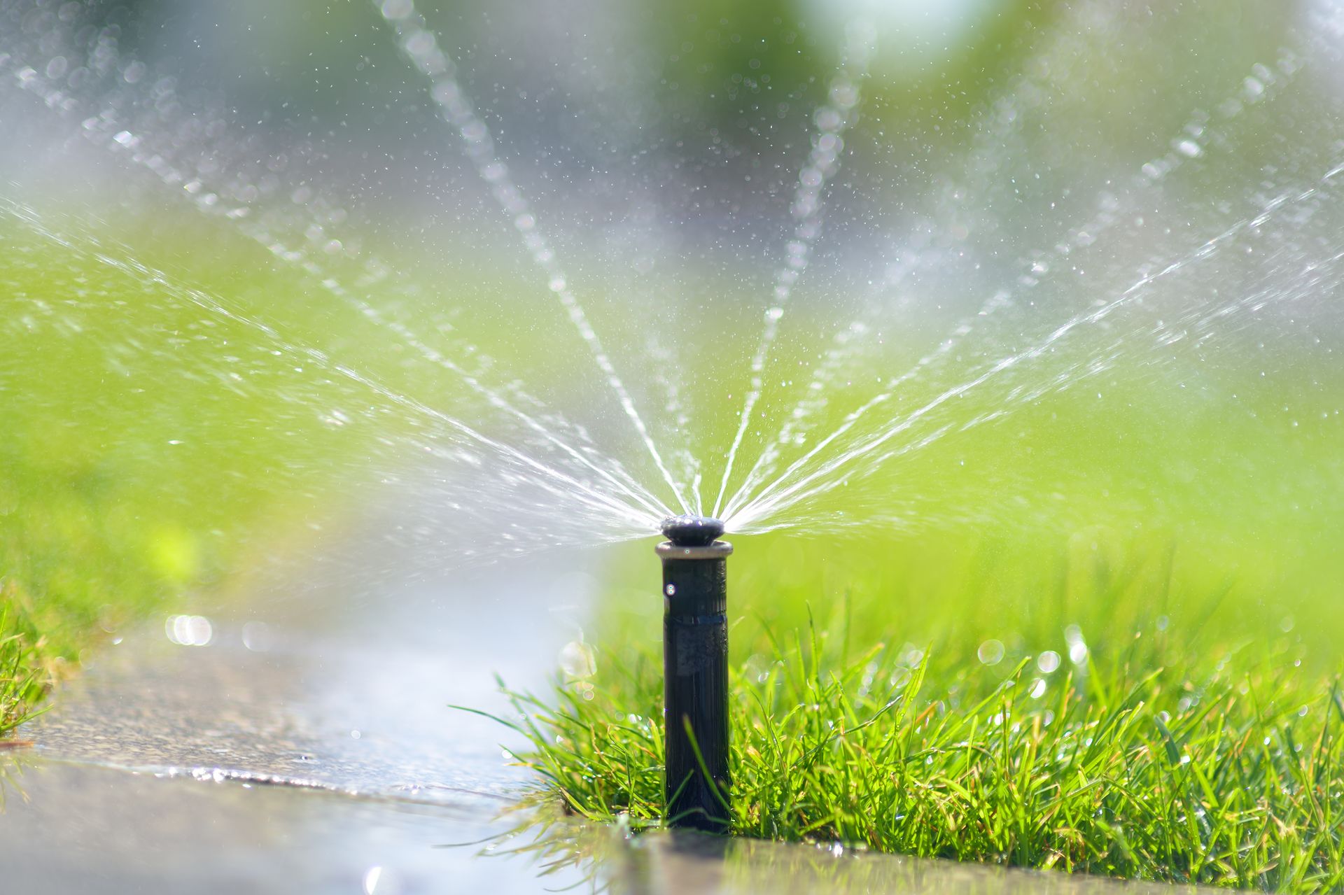 Sprinkler spraying water over a green lawn beside a wet path