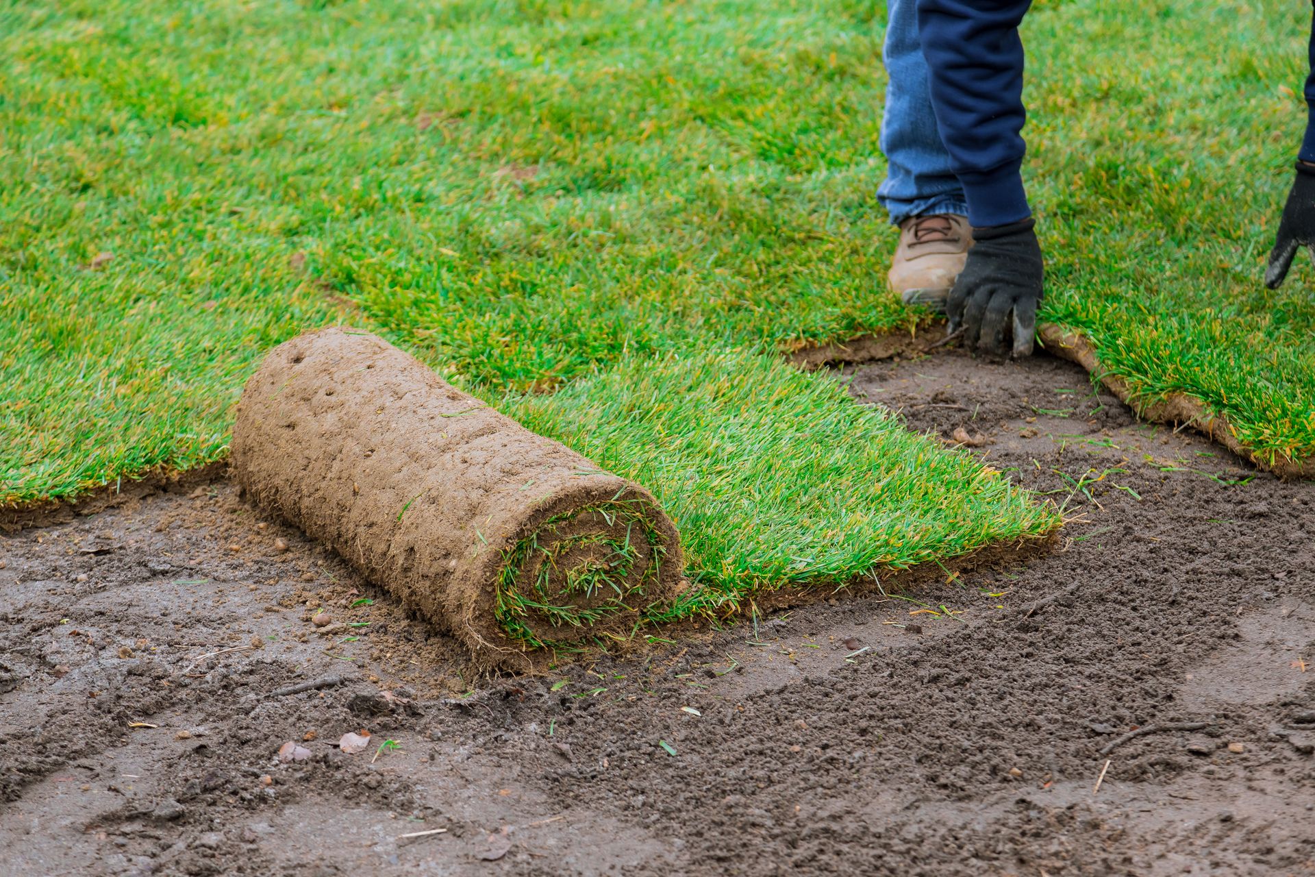 A rolled-up patch of artificial grass being laid over a muddy lawn, with a worker’s boot visible nearby