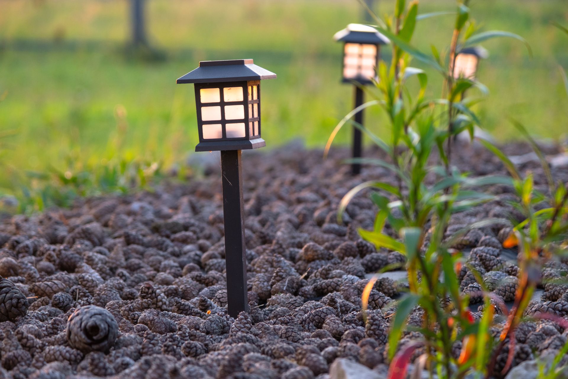 Small black garden path lights glowing among pebbles and green plants at dusk