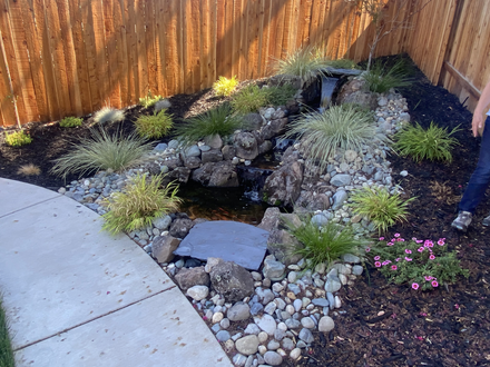Backyard patio path with large gray stepping stones, gravel borders, green lawn, and wooden fence
