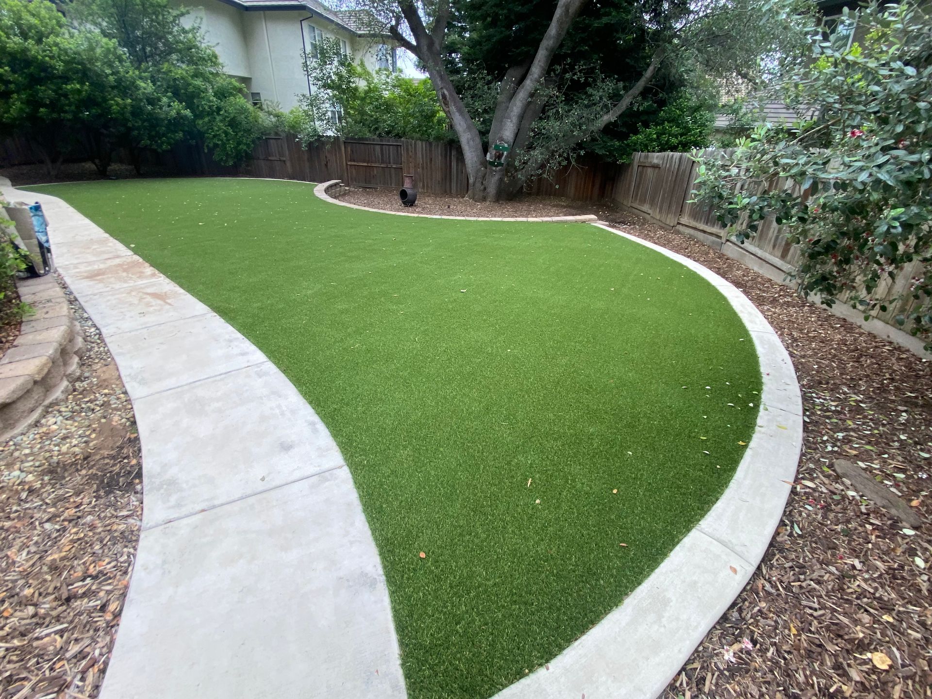 Curved artificial grass lawn bordered by concrete paths and shrubs in a backyard